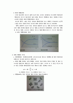 [일반화학실험] 평형상수의 결정 3페이지