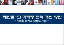 레인콤마케팅전략 PPT자료 1페이지