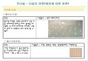 타일,돌, 점토,기와의 분류,종류 24페이지