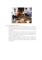 (조류인플루엔자) 조류독감 완벽정리 (정의, 발병원인, 증상, 예방 및 치료방법) 2페이지