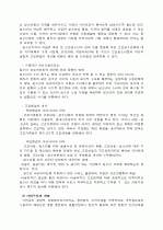 청소년의 일과 복지적 접근 22페이지