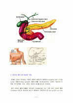병원 실습 보고서 11페이지