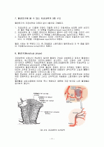 자궁내막 및 기타 생식기의 주기적 변화 4페이지