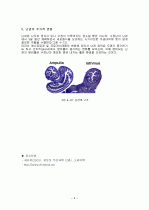 자궁내막 및 기타 생식기의 주기적 변화 8페이지