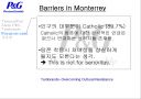CASE 4-2 Tambrands-Overcoming Cultural Resistance(탐브랜즈의 문화적 극복) 13페이지