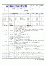 어린이집 보육실습일지/보육일지/영유아 보육일지/일일보육일지-4월 11페이지