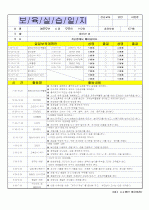 어린이집 보육실습일지/보육일지/영유아 보육일지/일일보육일지-4월 13페이지