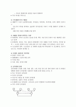 (A+, 사회복지사) 가계도와 생태도 작성법 및 예시  5페이지