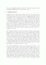 (A+ 레포트) 대상관계이론 2페이지
