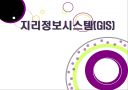 국내외 GIS 시장현황  1페이지