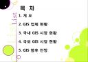 국내외 GIS 시장현황  2페이지