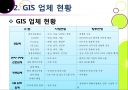 국내외 GIS 시장현황  8페이지