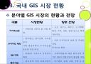 국내외 GIS 시장현황  14페이지
