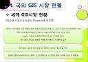 국내외 GIS 시장현황  17페이지