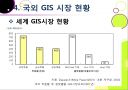 국내외 GIS 시장현황  20페이지