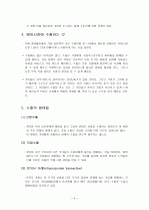 제7장 해외시장의 진입과 분석을 위한 전략들 4페이지