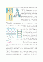 [A+, 유전학] DNA의 모양, 해독, 전사 4페이지