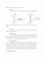 (A+ 레포트) 단백질의 변성에 대하여 4페이지