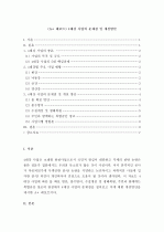 (A+ 레포트) 4대강 사업의 문제점 및 개선방안  1페이지