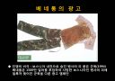 이탈리아 베네통 광고 16페이지