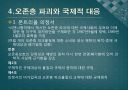 (A+ 레포트) 오존층 파괴와 몬트리올의정서 8페이지