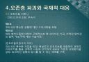 (A+ 레포트) 오존층 파괴와 몬트리올의정서 9페이지
