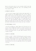 (A+ 레포트) 피아제 이론에 기초한 구성주의 프로그램 5페이지