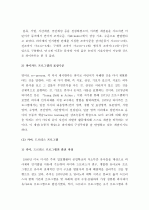 (A+ 레포트) 피아제 이론에 기초한 구성주의 프로그램 6페이지