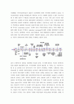 (A+ 레포트) 글로벌 금융위기 이후 EU경제권의 현실 2페이지