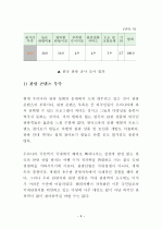 외국인의 시각으로본 한국관광산업의 문제점과 해결방안 9페이지