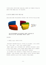 외국인의 시각으로본 한국관광산업의 문제점과 해결방안 24페이지