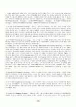 인터넷마케팅과 사례 13페이지