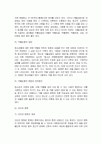 문제 청소년에 대한 예방과 대책 13페이지