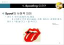 스푸핑(Spoofing)의 실제 3페이지