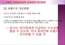 휴대폰 유통경로상의 문제점과 개선방안 16페이지