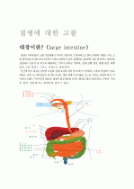 간호진단 대장염 케이스 2페이지
