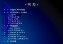 [사회복지] 유럽 사회복지모델의 문제점과 해결방안.PPT 2페이지