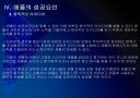 [애플성공사례] 애플(Apple) 성공요인 분석 - 아이팟, 아이폰, 아이패드 보고서.PPT 19페이지