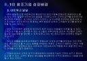 1인 창조기업 활성화 방안 - 성장배경과 유형.PPT 10페이지