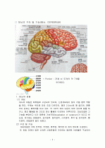 뇌구조, 기능 및 명칭  2페이지