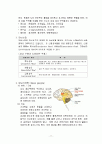 뇌구조, 기능 및 명칭  3페이지