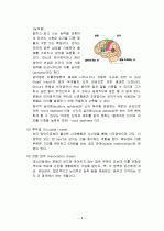 뇌구조, 기능 및 명칭  5페이지