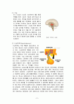 뇌구조, 기능 및 명칭  8페이지