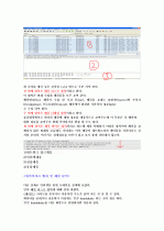 컴퓨터네트워크 - 와이어샤크(Wireshark) 패킷 분석 2페이지