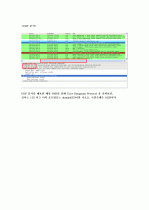 컴퓨터네트워크 - 와이어샤크(Wireshark) 패킷 분석 9페이지