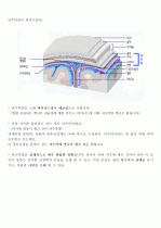 [2016/09]뇌수막염 case(뇌수막염의 정의, 뇌수막염의 원인, 뇌수막염의 증상, 뇌수막염의 진단검사 방법, 뇌수막염의 예방 방법, 뇌수막염 환자의 CASE)  2페이지