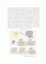 갑상샘기능저하증 9페이지
