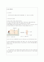 패혈증 뇌수막염 신생아 케이스보고서 case보고서 10페이지