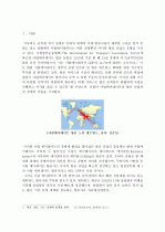 에티하드(Etihad) 항공의 발전과 성공전략 2페이지