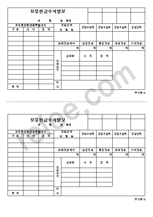 보유현금수지일보(2)